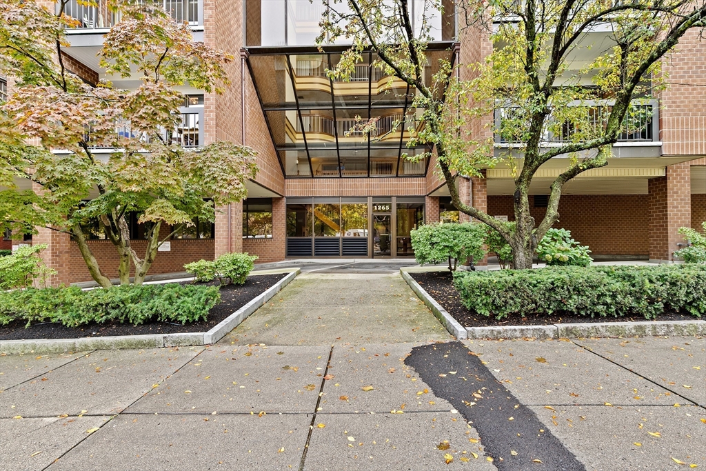 1265 Beacon St #501 - Brookline, MA