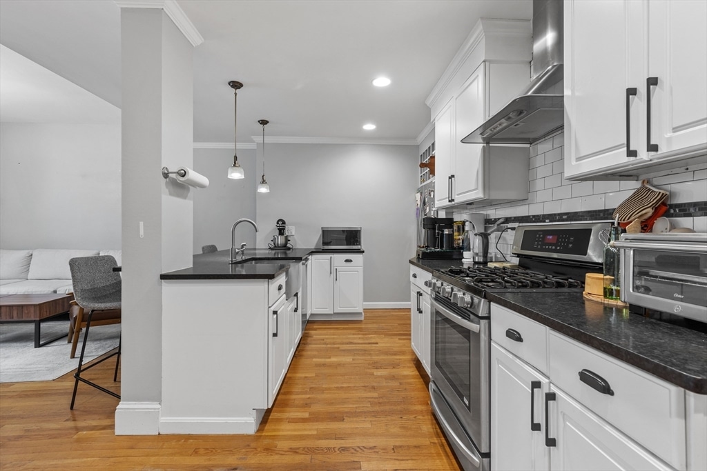 195 Saint Paul St #1g 195 Saint Paul St #1G - Brookline, MA