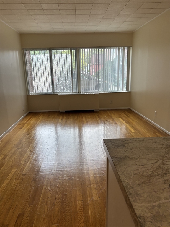 22 Chestnut Place #M4 - Brookline, MA