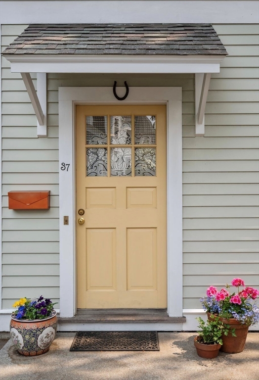 37 Waverly #37 37 Waverly #37 - Brookline, MA