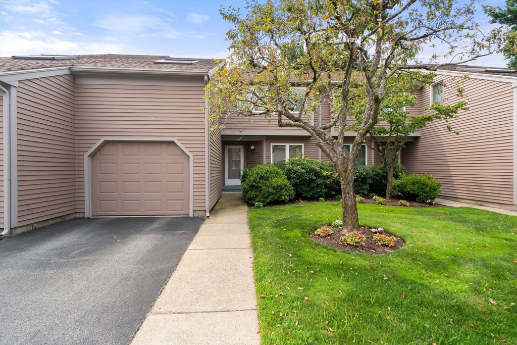 5 Heath Wood Lane #5 5 Heath Wood Lane #5 - Brookline, MA