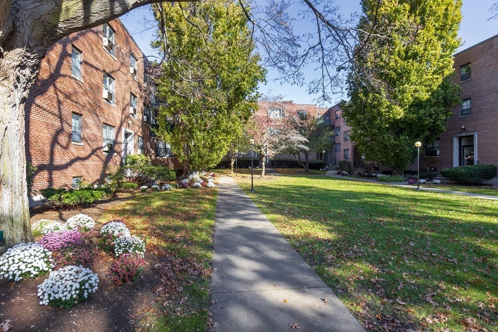 51 Harvard Avenue #1 51 Harvard Avenue #1 - Brookline, MA