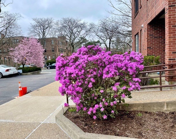 51 John St #201 51 John St #201 - Brookline, MA