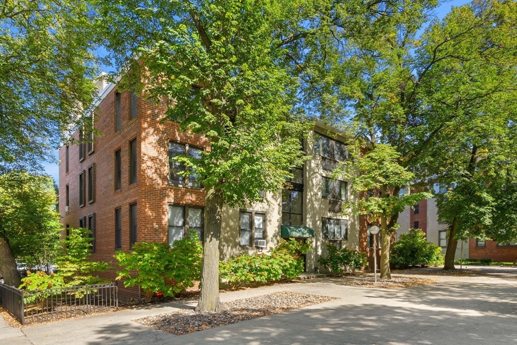 6 Juniper St #16 - Brookline, MA