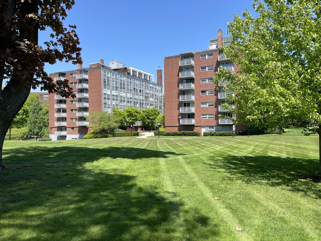 70 Park Street #15 - Brookline, MA