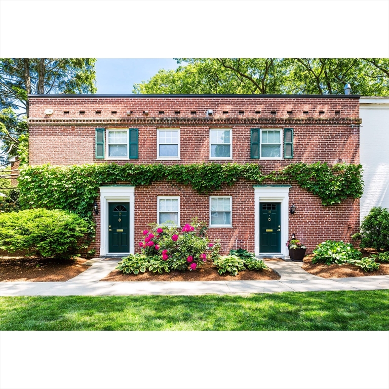 113 Thornton Rd #113 - Brookline, MA