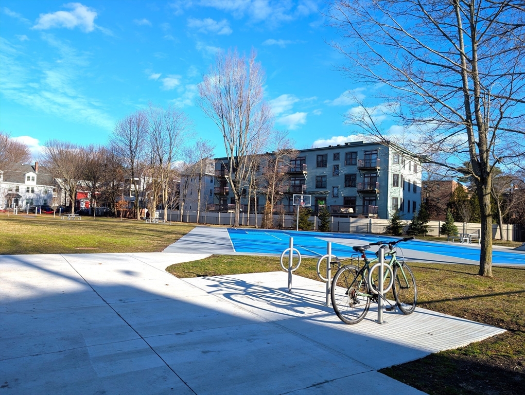 16 Henry #1 - Brookline, MA