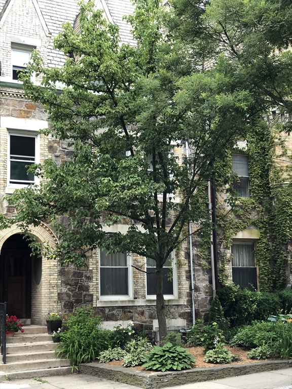 318 Tappan Street #3