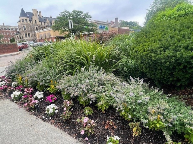 1731 Beacon #1110 - Brookline, MA