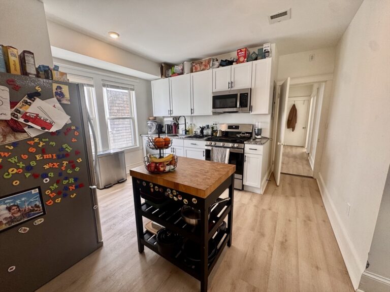 127 Eliot St #3 - Brookline, MA