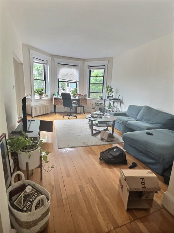 397 Harvard #4 - Brookline, MA