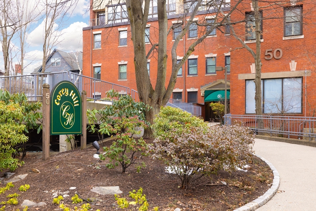 50 Winchester Street #413 50 Winchester Street #413 - Brookline, MA