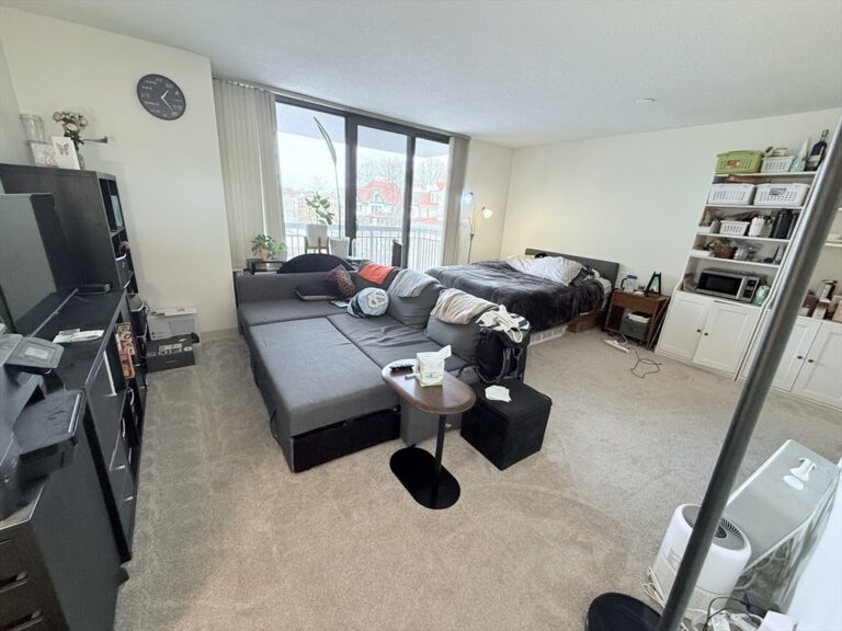 60 Longwood Ave #206 - Brookline, MA