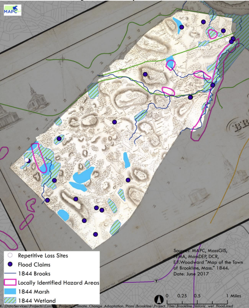 a map of Brookline's flood risk areas