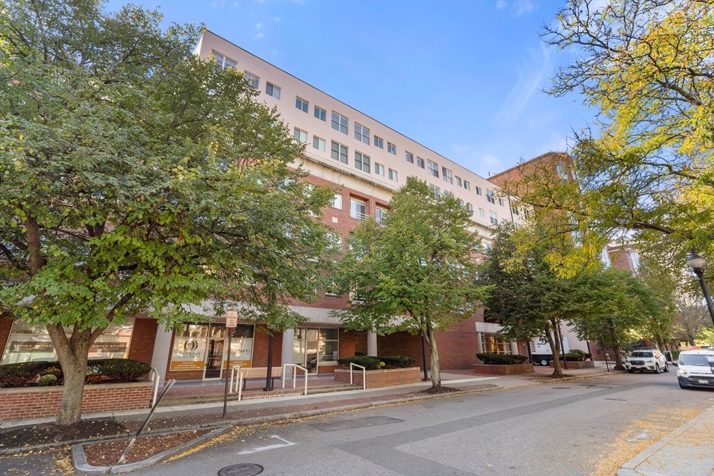 20 Webster Street #311 - Brookline, MA