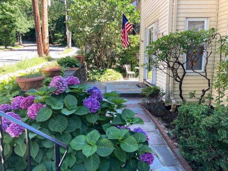 28 Beaconsfield Rd #1 - Brookline, MA