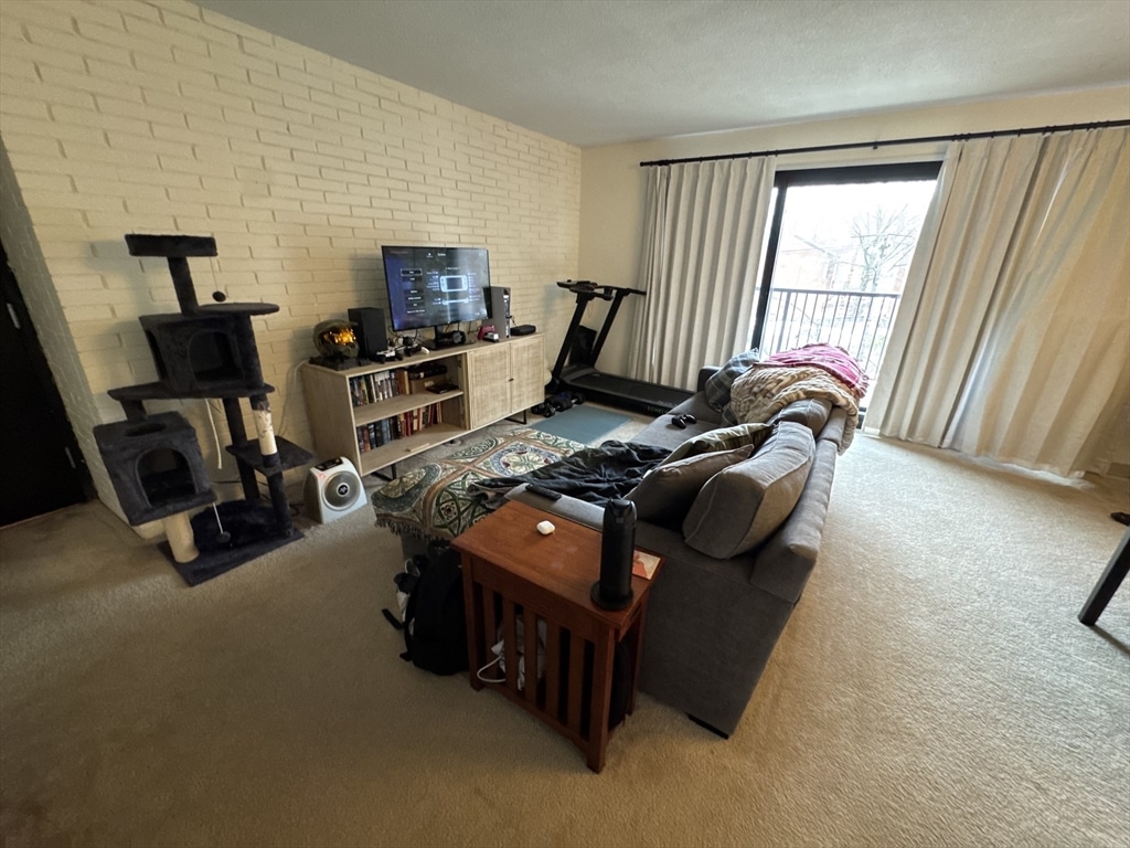 49 Marion #4D - Brookline, MA