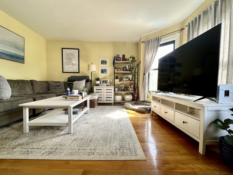 9 Leverett Street #3 - Brookline, MA