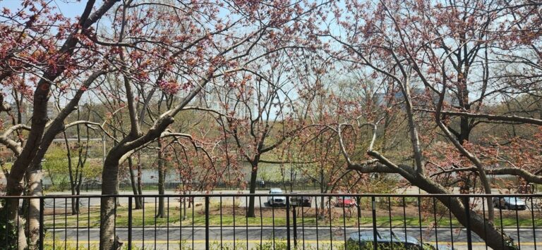 77 Pond Ave #507 - Brookline, MA