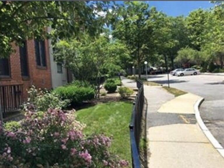 18 Juniper St #49