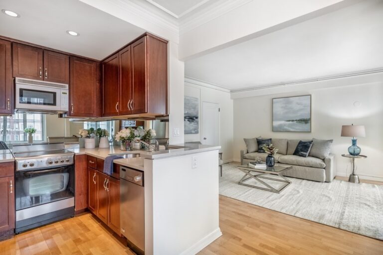 20 Chapel St #B701 - Brookline, MA