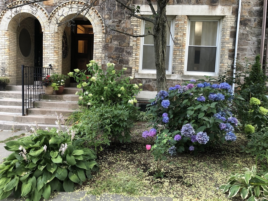 318 Tappan #2 - Brookline, MA