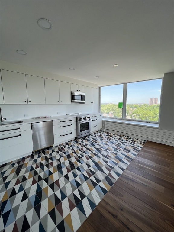 60 Babcock #97 - Brookline, MA