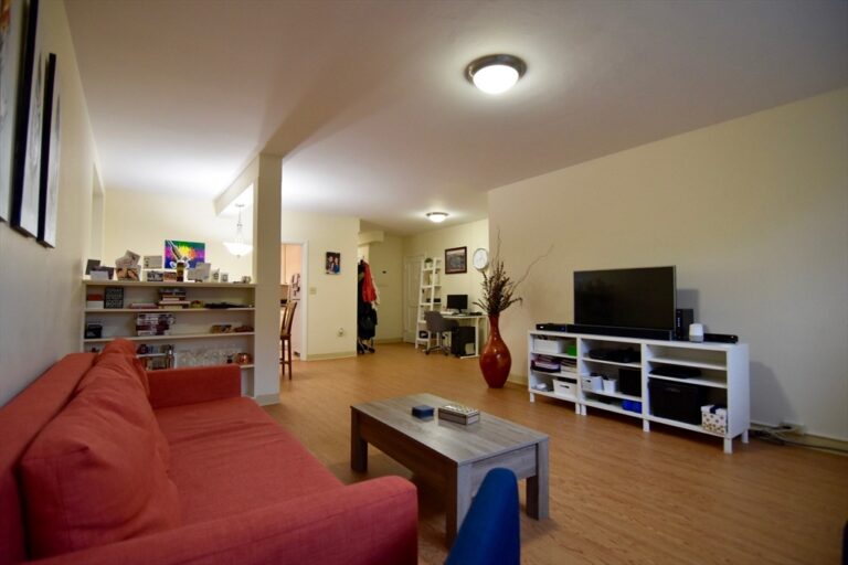 49 Green #B1 - Brookline, MA