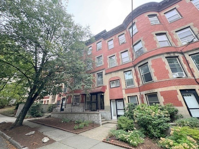 15-17 University Rd #31 15-17 University Rd #31 - Brookline, MA
