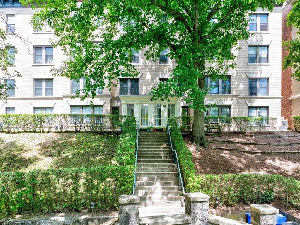 1584 Beacon St #A - Brookline, MA