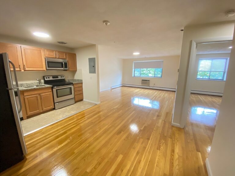 222 Babcock Street #4A - Brookline, MA