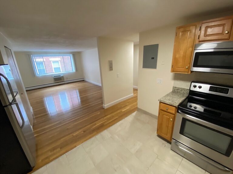 230 Babcock Street #3G - Brookline, MA